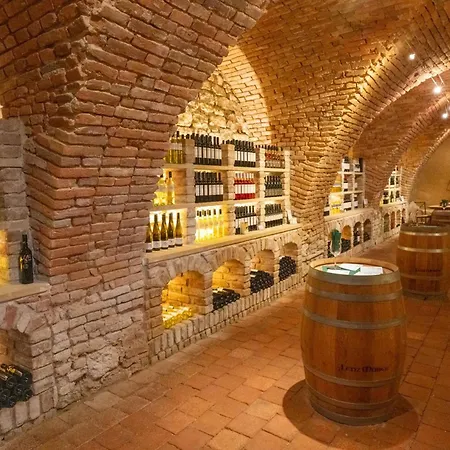 Hotel Schlosshotel Mailberg 4*