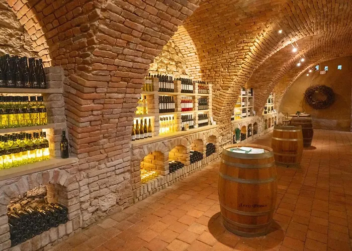 Hotel Schlosshotel Mailberg 4*